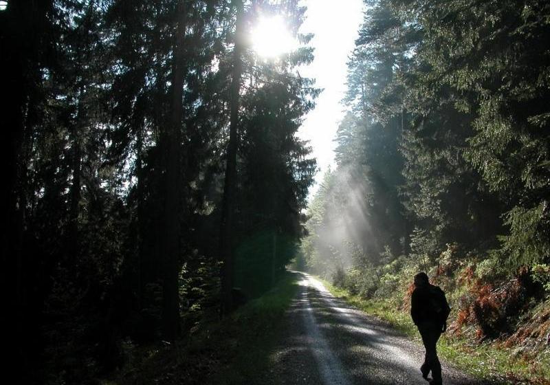 Gasthof Pension Berghof
