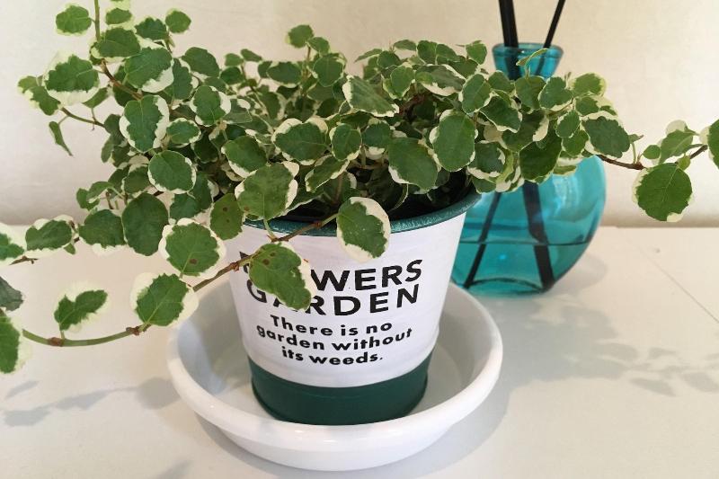 T S Guest House Hostel