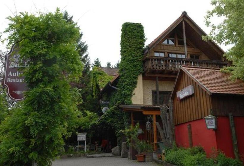هتل Alte Schreinerei Auberge Harlekin