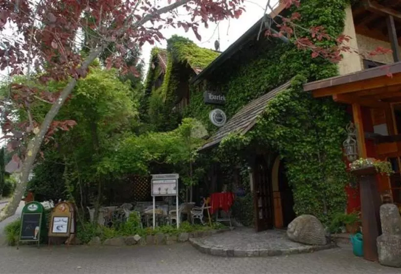 ホテル Alte Schreinerei Auberge Harlekin
