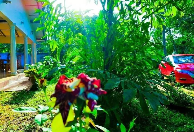 هتل New Sigiri Terrace