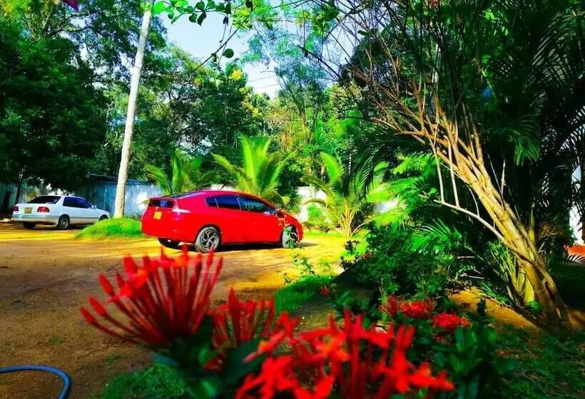 هتل New Sigiri Terrace