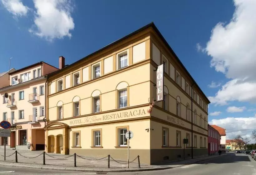 Hotelli Pod Jeleniem