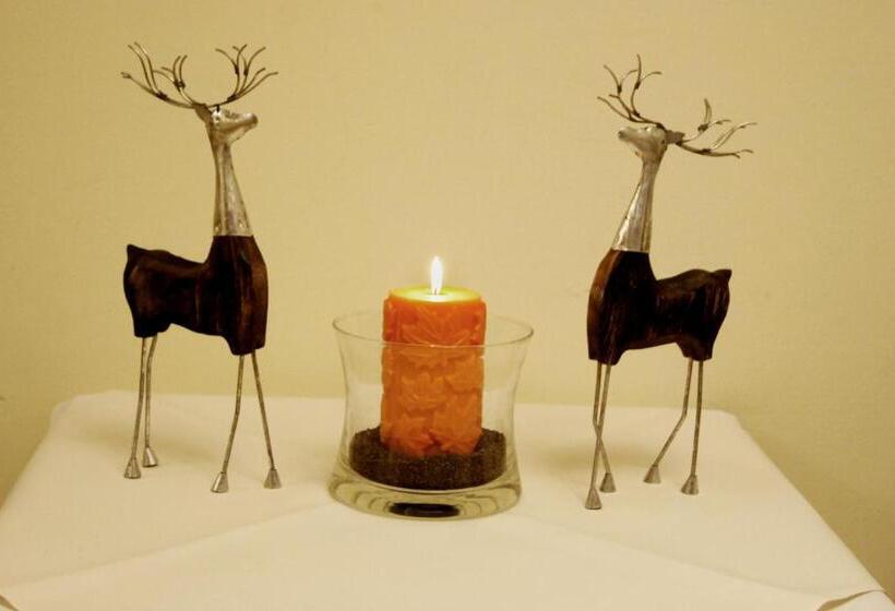 فندق Pod Jeleniem