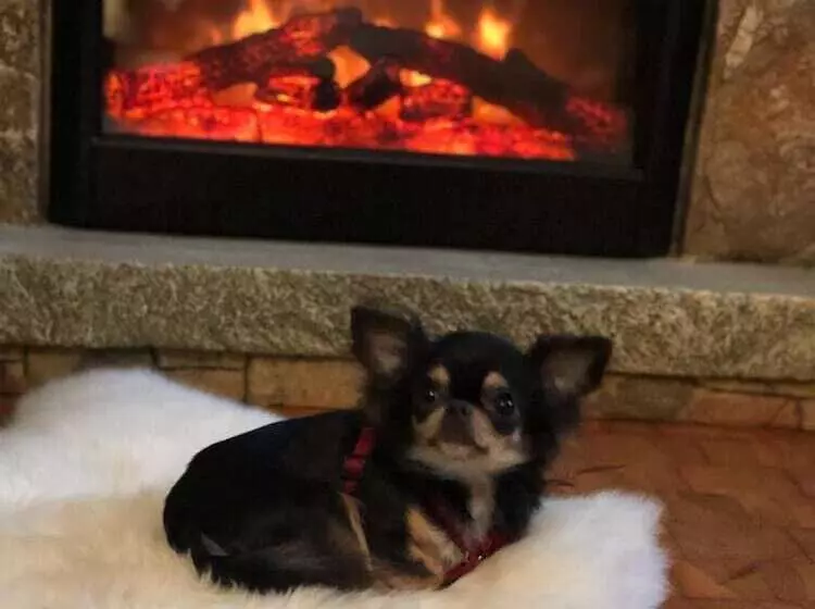 Hotelli Restaurant Dragonerbau