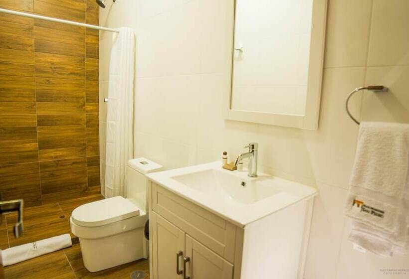 호텔 San Pedro Plaza