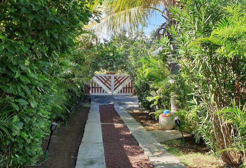 پانسیون Poz Lagon