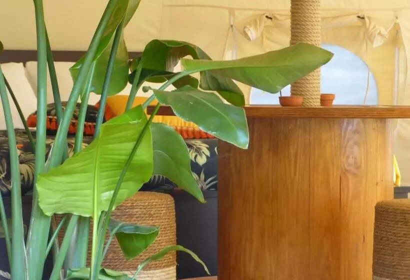 ベッドアンドブレックファースト Oasi Degli Dei