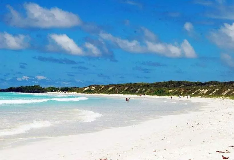 ホテル The Island Home