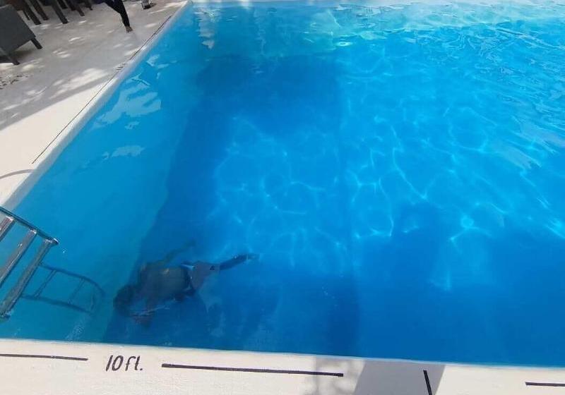 White Summerville Tourist Inn