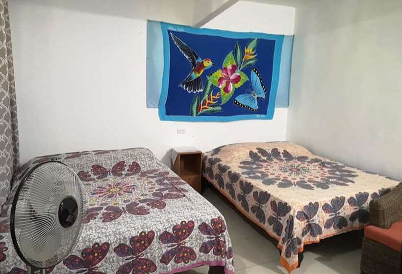 هاستل Blue Morfo House