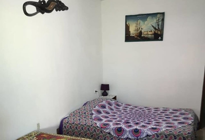 هاستل Blue Morfo House