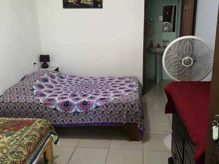 هاستل Blue Morfo House