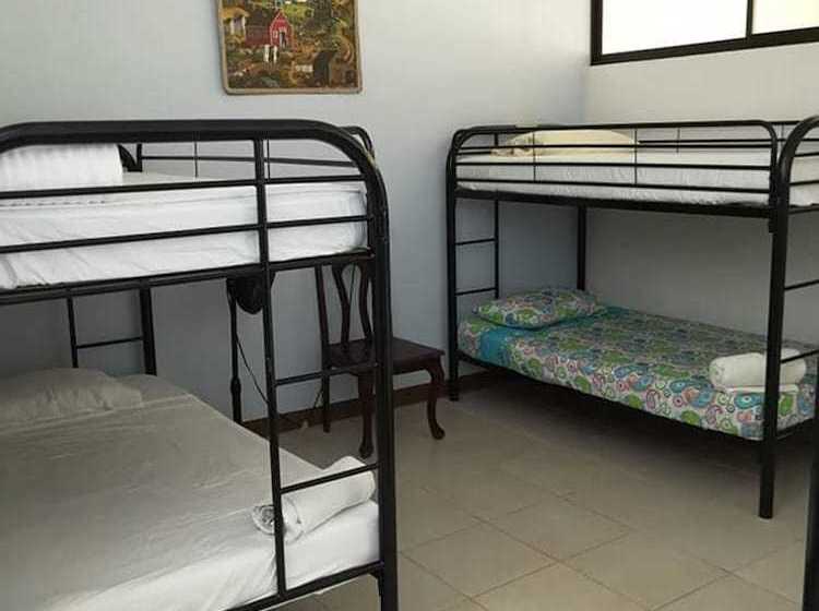 هاستل Blue Morfo House