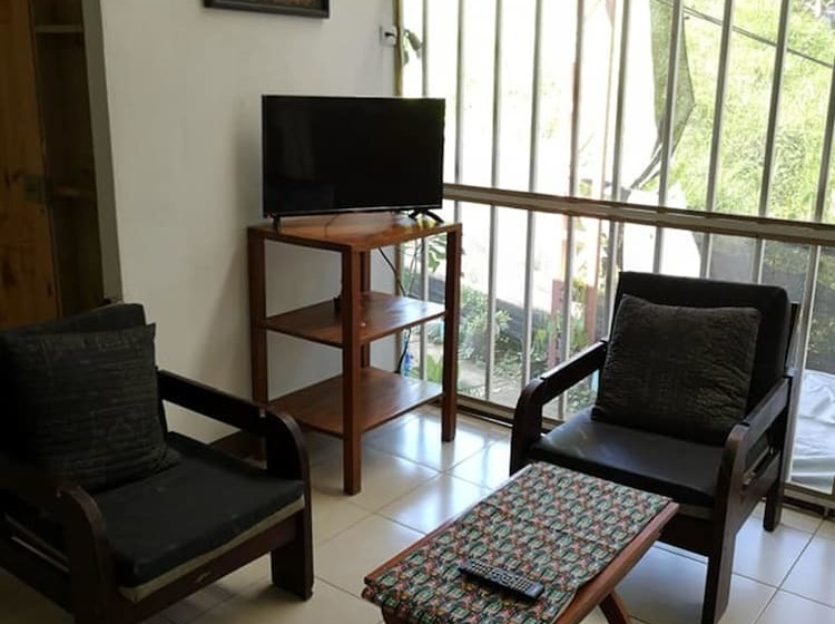 هاستل Blue Morfo House