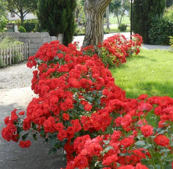 住宿加早餐  Al Sol Levante