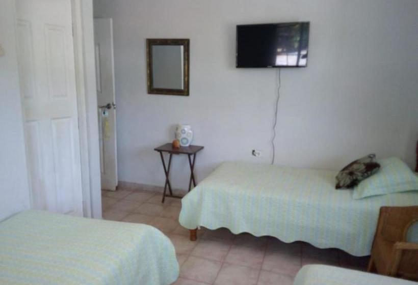 فندق All Costa America