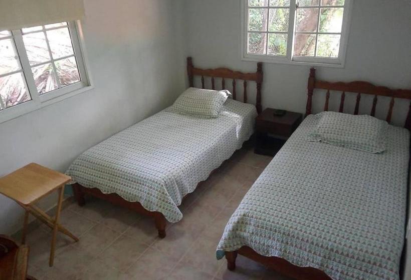 فندق All Costa America