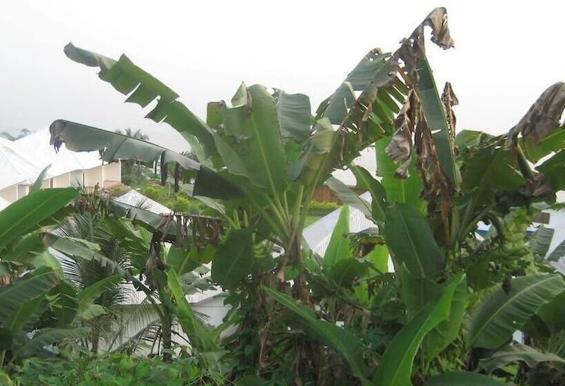 Отель Tsaben Beach