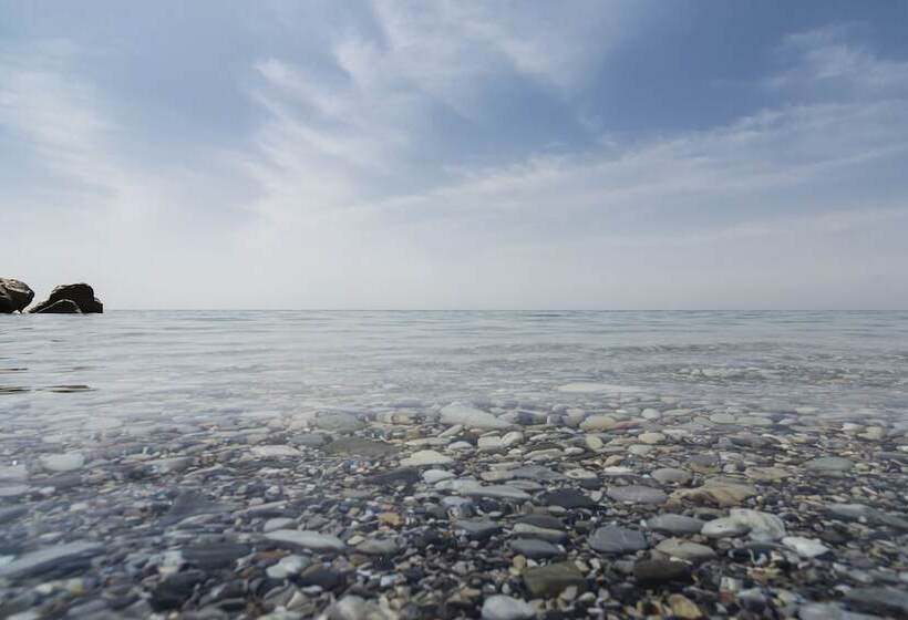 Lavicon Hotel Collection