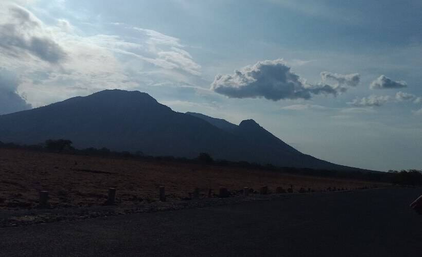 Gandrung City Hostel