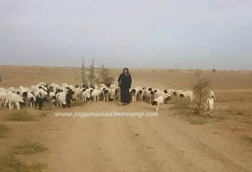 Hotelli Joggan Jaisalmer Camp