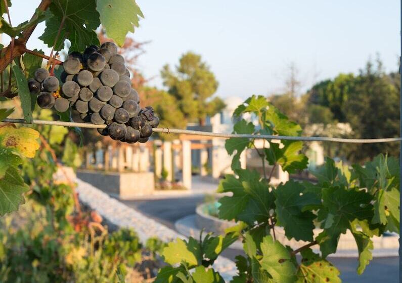 Gillham Vineyard Hotel   Adults Only