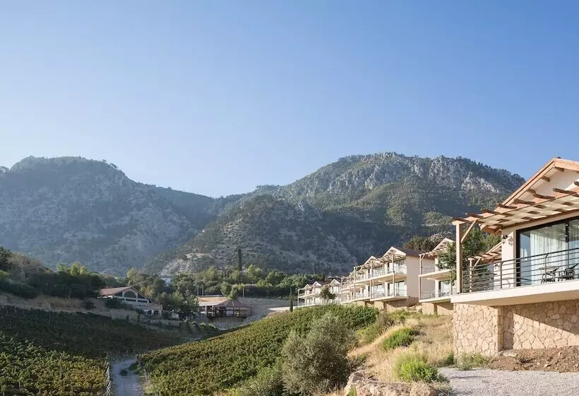 Gillham Vineyard Hotel   Adults Only