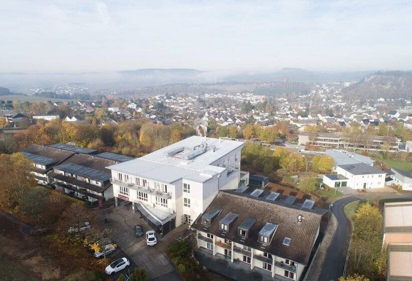 Отель Lowenstein