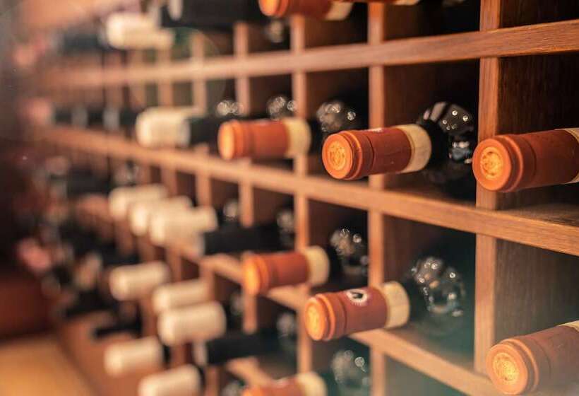 Отель Lowenstein