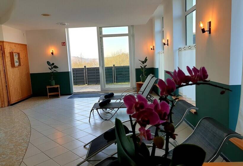 Отель Lowenstein