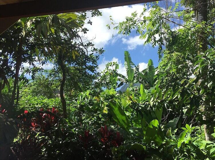 בית מלון כפרי Selvita Lodge Arenal