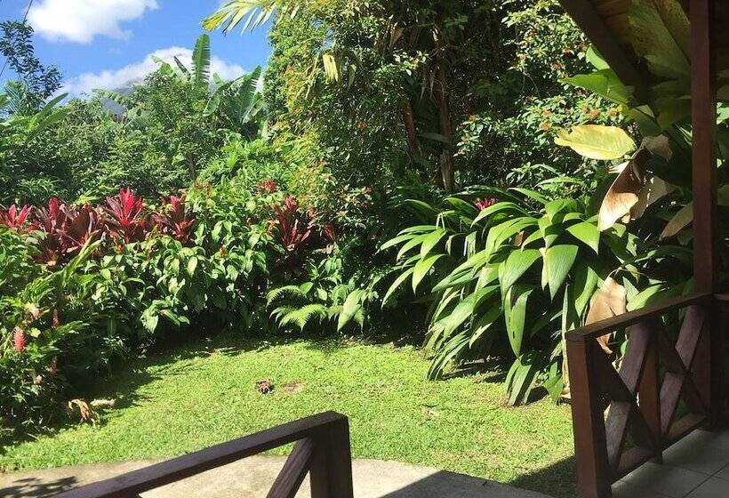 בית מלון כפרי Selvita Lodge Arenal