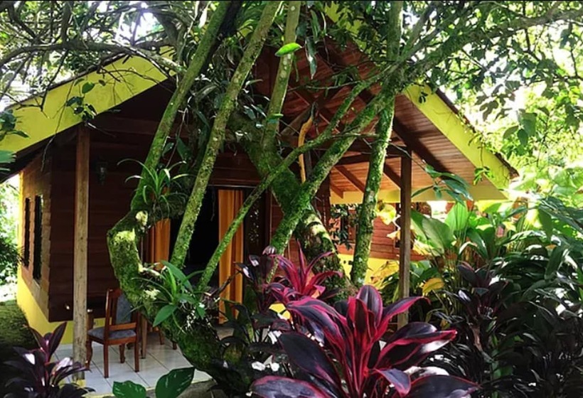 בית מלון כפרי Selvita Lodge Arenal