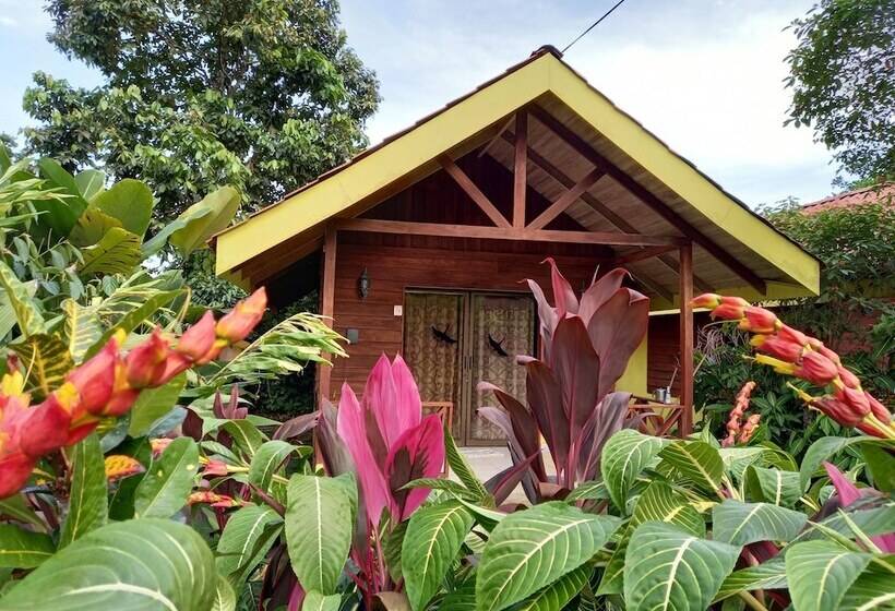 בית מלון כפרי Selvita Lodge Arenal