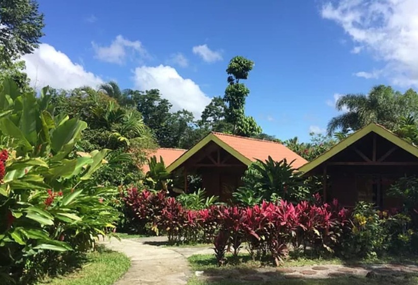 בית מלון כפרי Selvita Lodge Arenal