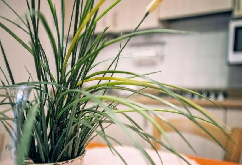 Residence Villa Piani