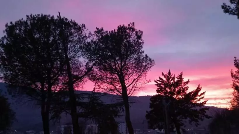 تختخواب و صبحانه Parco Dei Gelsomini