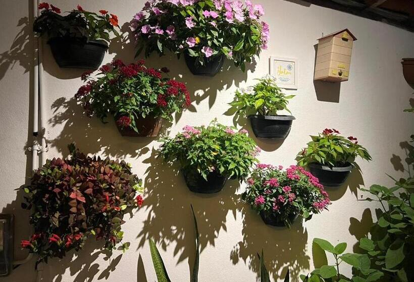 בית מלון כפרי Casas Do Pátio Pousada & Bar