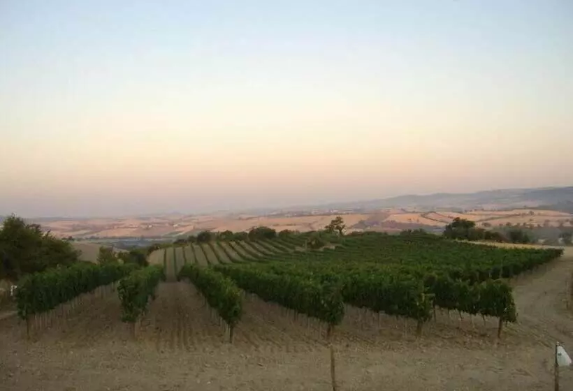 田舎風ホテル Bio Agriturismo Il Torrione