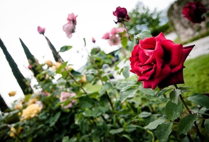 田舎風ホテル Bio Agriturismo Il Torrione