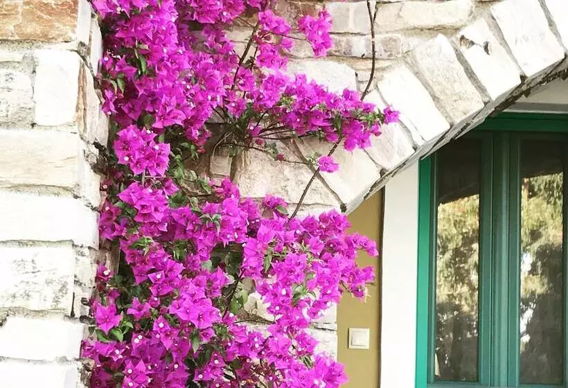 پانسیون Anemoessa Luxury Villas