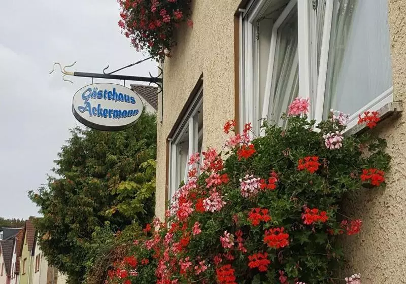 پانسیون Gästehaus Ackermann