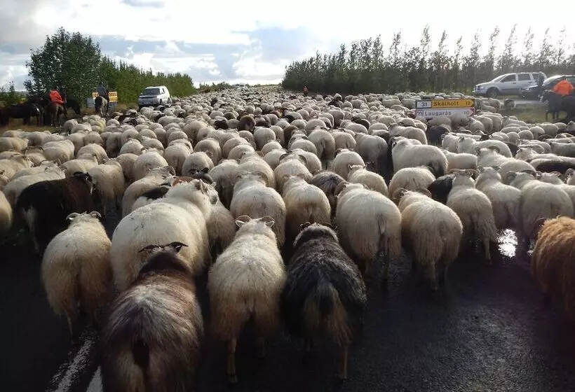 پانسیون Hestakráin