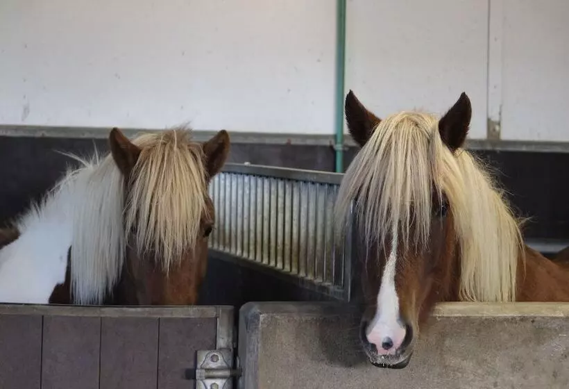 پانسیون Hestakráin