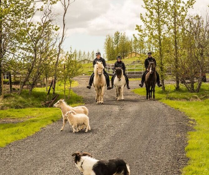 پانسیون Hestakráin