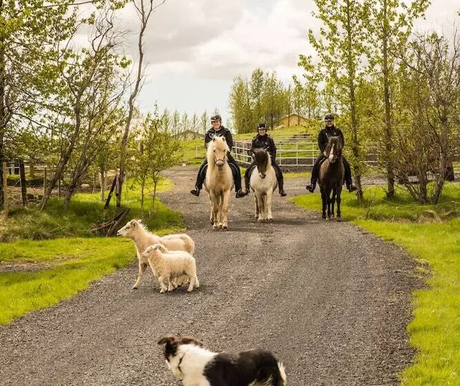 پانسیون Hestakráin