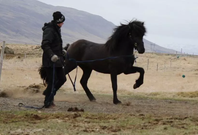 پانسیون Hestakráin