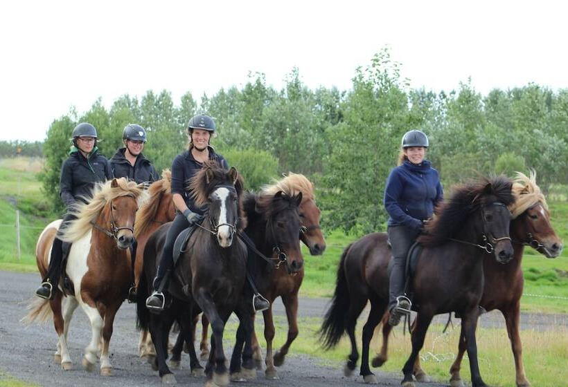 پانسیون Hestakráin