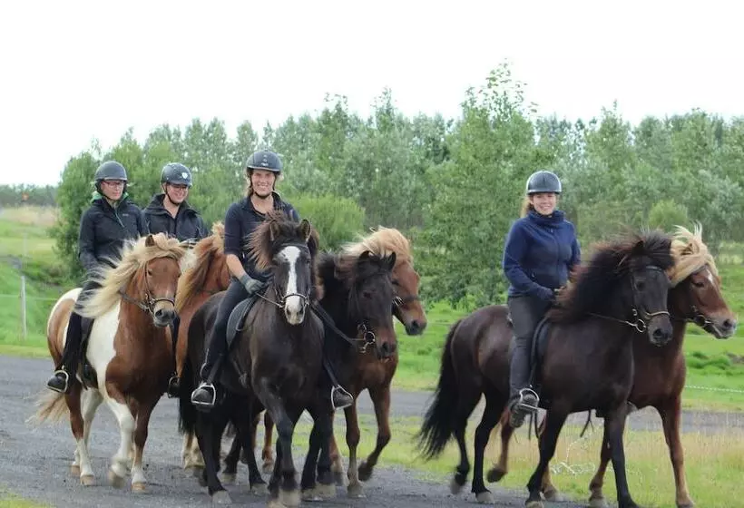 پانسیون Hestakráin